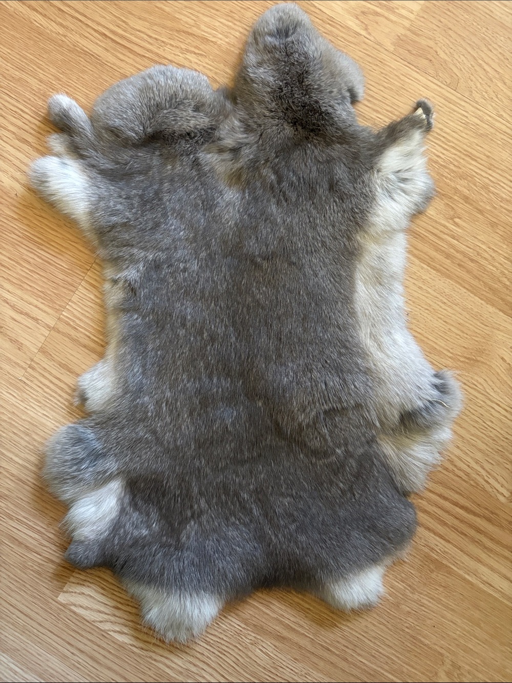B0082 Natural Gray Rabbit Fur Pelt